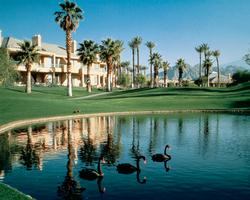DESERTSPRINGS
